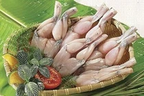 Trẻ còi có nên ăn thịt cóc?