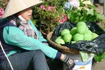 Xuất hiện “ổi đào tiên” ngâm hóa chất