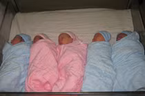 TP.HCM: Giao thừa đón “rồng vàng“