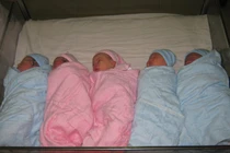 TP.HCM: Giao thừa đón “rồng vàng“