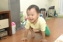 Trẻ ho do bò sàn nhà