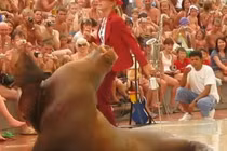 Xem hải mã nhảy như Michael Jackson