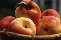 Mang thai có phải kiêng ăn đào?