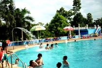 Clo trong bể bơi làm cay mắt, sần da