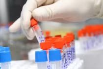 Giải mã gen người Việt để cải tạo giống nòi