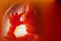 Làm gì giúp vong linh thai nhi bị phá được siêu thoát