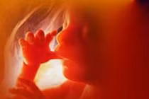 Làm gì giúp vong linh thai nhi bị phá được siêu thoát