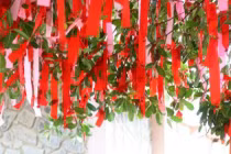 Lạ kỳ cây “hút” tình nhân ở Đà Lạt