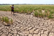 Hạn hán, ngập mặn là do con người hay thiên nhiên?