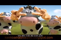 Chọn sữa cho bé tăng cân tốt