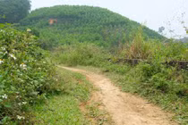 Vụ người đàn ông bị cắt đứt “của quý“: Hung thủ tàn nhẫn, đê hèn