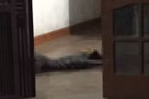 Phát hiện thi thể người đàn ông đang phân hủy trong phòng trọ