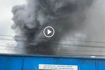 Cháy lớn ở Công ty XNK Biovet khiến hàng loại nhân viên tháo chạy