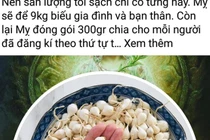 Truy tìm chủ facebook Lương Hoàng Anh tung tin bịa đặt về tỏi Lý Sơn
