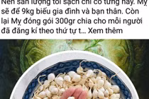Truy tìm chủ facebook Lương Hoàng Anh tung tin bịa đặt về tỏi Lý Sơn