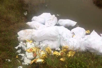 Giải mã lý do các đối tượng liều mạng buôn cả tấn ma túy