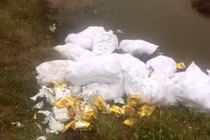 Giải mã lý do các đối tượng liều mạng buôn cả tấn ma túy