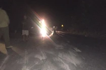 Xe tải lật khi đổ đèo, 2 mẹ con tử vong tại chỗ