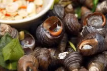 4 sai lầm nghiêm trọng khi ăn ốc gây đau bụng, rước ký sinh trùng vào người