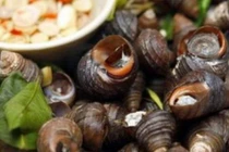 4 sai lầm nghiêm trọng khi ăn ốc gây đau bụng, rước ký sinh trùng vào người