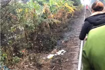 Phát hiện thi thể bé trai nặng 2 kg không mảnh vải che thân