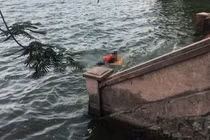 Phát hiện thi thể một cô gái nổi trên hồ Tây