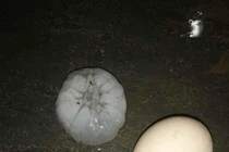 Mưa đá to như quả trứng gà dội xuống Lào Cai do không khí lạnh