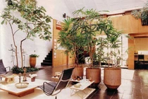 Những vị trí đặt cây xanh trong nhà vận khí lên như diều gặp gió