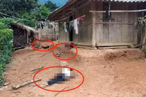 Thảm án Điện Biên 3 người chết: Ông làm cháu có bầu?