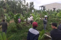 Kinh hoàng nghịch tử sát hại mẹ dã man lúc rạng sáng