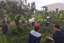 Kinh hoàng nghịch tử sát hại mẹ dã man lúc rạng sáng