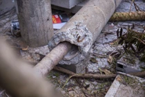 Kiểm tra chất lượng hàng trăm cột điện bị gãy