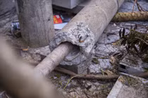 Kiểm tra chất lượng hàng trăm cột điện bị gãy