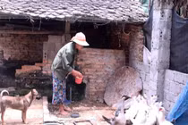  Nghệ An và những tỉnh nào có nghi vấn “ăn tiền” hỗ trợ COVID-19?