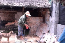  Nghệ An và những tỉnh nào có nghi vấn “ăn tiền” hỗ trợ COVID-19?