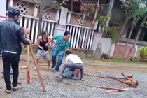 Chó pitbull điên cuồng cắn người: Chủ nhân chịu trách nhiệm thế nào?