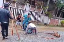 Chó pitbull điên cuồng cắn người: Chủ nhân chịu trách nhiệm thế nào?