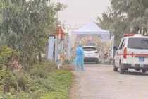 Cùng chuyến bay với Nguyễn Hồng Nhung: Cặp đôi phải cách ly đúng ngày cưới