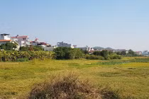 Sai sót hồ sơ mời thầu Dự án Khu dân cư Hưng Đạo: Có hủy thầu?