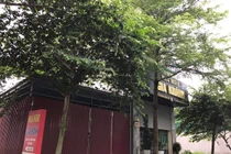 Dùng súng bắn chết người ở Hải Dương: Hành vi thỏa mãn dấu hiệu của tội giết người?