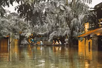 Những câu chuyện đáng yêu đằng sau bộ ảnh “Venice Hội An” thắp sáng những ngày mưa lũ