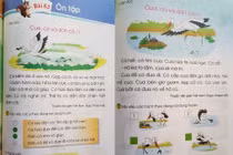 Nhặt "sạn" trong SGK lớp 1 đang khiến phụ huynh rần rần bức xúc