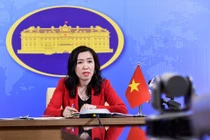 Việt Nam đưa 800 công dân ở nước ngoài về nước, 40 người còn "mắc kẹt"