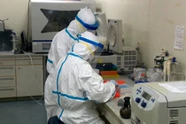 Công ty Tâm Việt cho Lào Cai mượn máy XN COVID-19: “Lòng tốt” đầy nghi vấn?