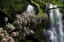 Ngỡ ngàng ngắm loạt ảnh thiên nhiên đẹp nhất năm 2020