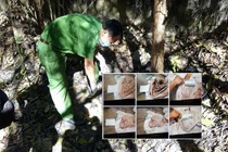 9 bộ hài cốt ở Tây Ninh: Sự thật về buôn bán xương người?