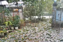 Mưa lớn, mưa đá kèm dông lốc Tết Nguyên đán: Hơn 12000 ngôi nhà hư hại