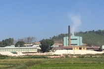 Cty Trúc Thôn Hải Dương dùng công nghệ Trung Quốc khiến cây chết khô, dân lo ngại sức khỏe