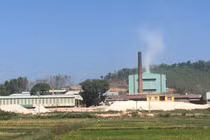 Cty Trúc Thôn Hải Dương dùng công nghệ Trung Quốc khiến cây chết khô, dân lo ngại sức khỏe