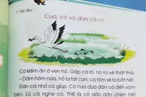 SGK lớp 1 bị tố bịa chuyện, chủ biên thừa nhận viết lại